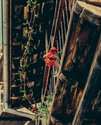 Gurko 7, 2br, Center, Free Parking Veliko Tarnovo