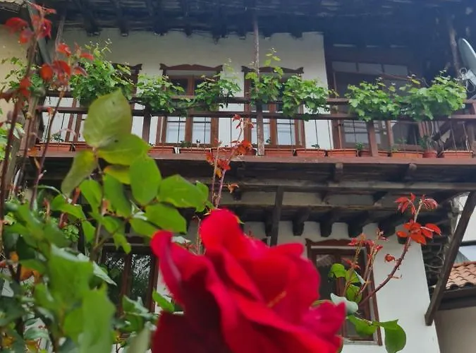 Gurko 7, 2br, Center, Free Parking Guest house