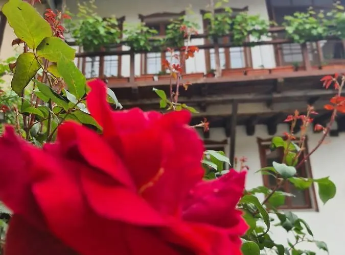 Gurko 7, 2br, Center, Free Parking Guest house