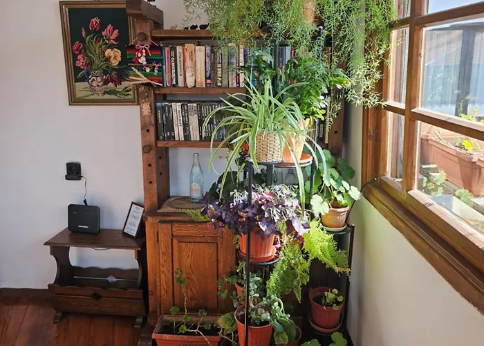 Guest house Gurko 7, 2br, Center, Free Parking 4*